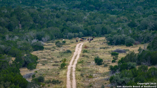 Listing photo id 18 for Tbd Rm 2523  