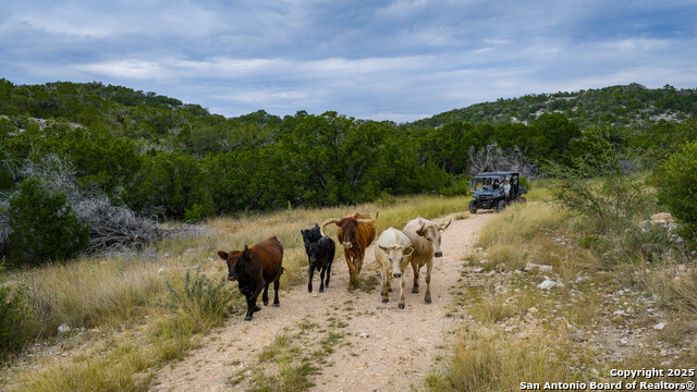 Listing photo id 1 for Tbd Rm 2523  