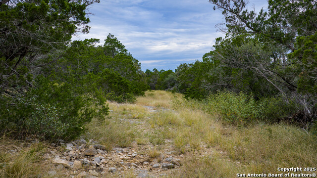 Listing photo id 3 for Tbd Rm 2523  