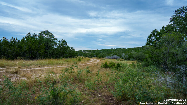 Listing photo id 5 for Tbd Rm 2523  