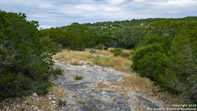 Listing photo id 6 for Tbd Rm 2523  