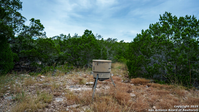 Listing photo id 7 for Tbd Rm 2523  