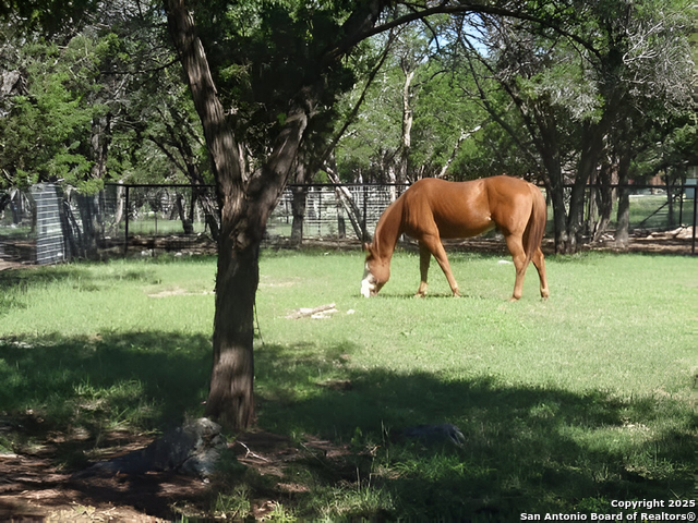 Listing photo id 1 for 1290 Hidden Oaks