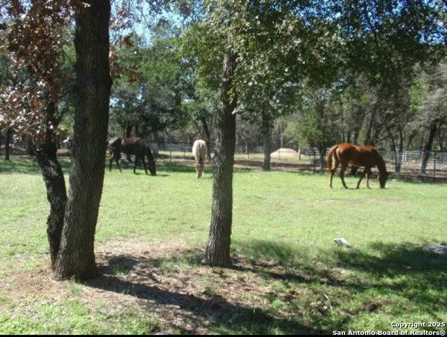 Listing photo id 2 for 1290 Hidden Oaks