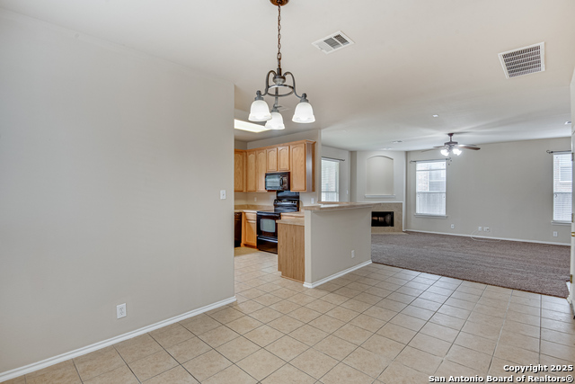 Image 10 of 28 For 2637 Gallant Fox