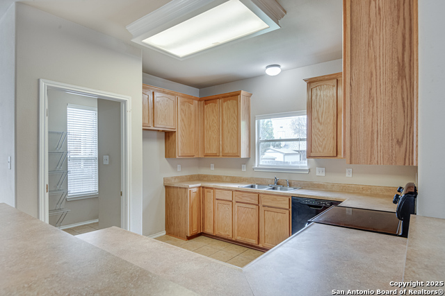 Image 12 of 28 For 2637 Gallant Fox