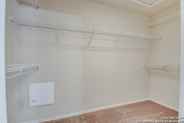 Image 19 of 28 For 2637 Gallant Fox