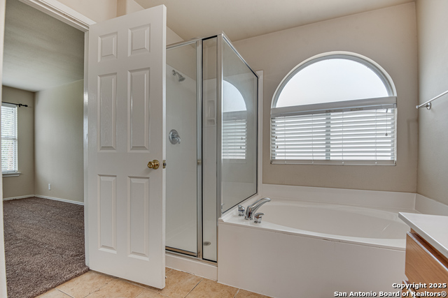 Image 21 of 28 For 2637 Gallant Fox