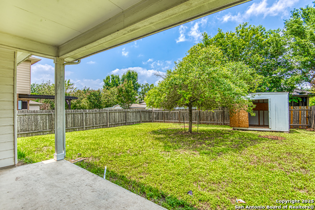 Image 25 of 28 For 2637 Gallant Fox