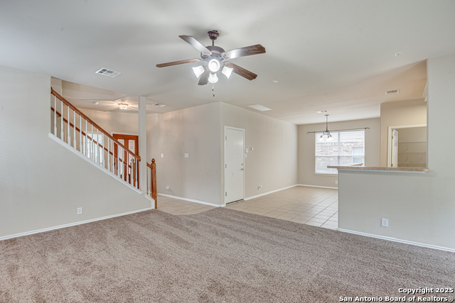 Image 7 of 28 For 2637 Gallant Fox