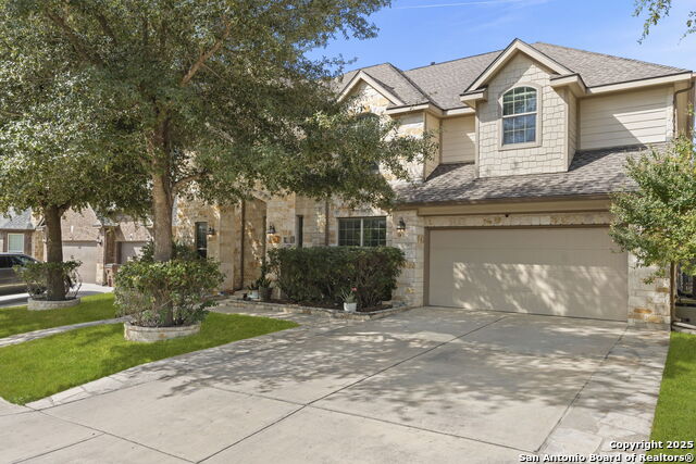 Image 2 of 37 For 5319 Anemone