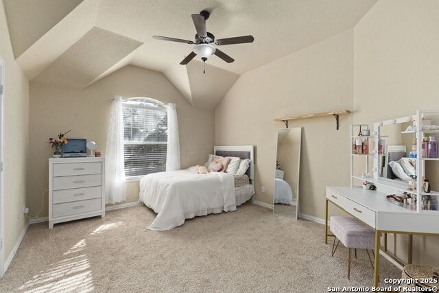 Image 27 of 37 For 5319 Anemone