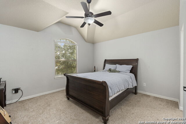 Image 31 of 37 For 5319 Anemone