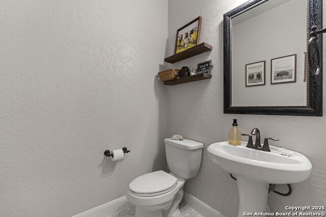 Image 34 of 37 For 5319 Anemone