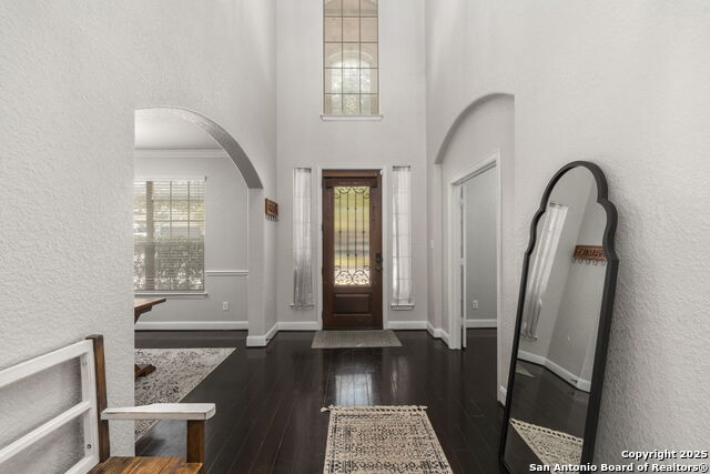 Image 4 of 37 For 5319 Anemone