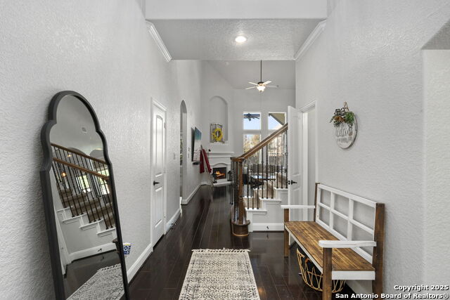 Image 7 of 37 For 5319 Anemone