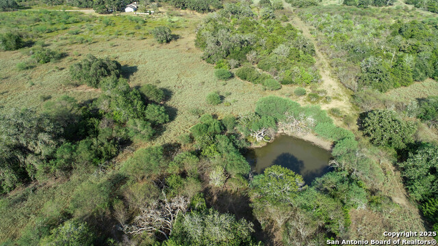 Image 10 of 10 For 0 Golly