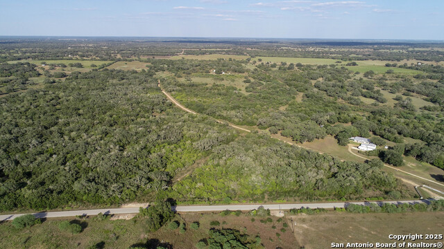 Image 3 of 10 For 0 Golly