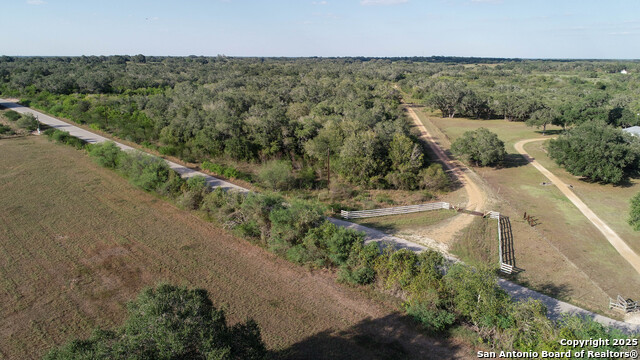 Image 4 of 10 For 0 Golly