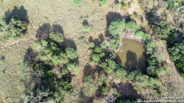 Image 7 of 10 For 0 Golly