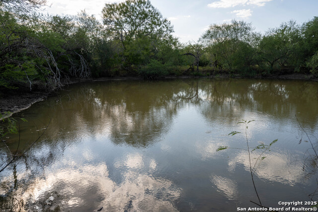 Image 8 of 10 For 0 Golly