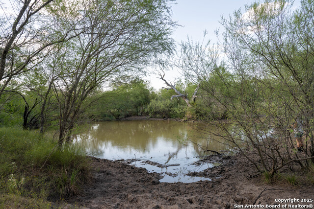 Image 9 of 10 For 0 Golly