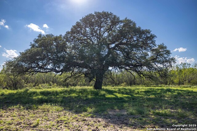 Details for 444 County Road 748, Yancey, TX 78886