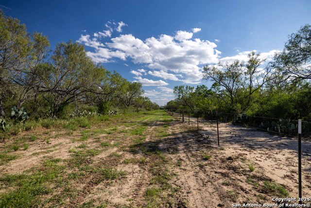 Listing photo id 8 for 444 County Road 748