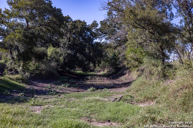 Listing photo id 9 for 444 County Road 748