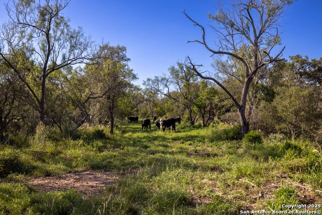 Listing photo id 11 for 444 County Road 748