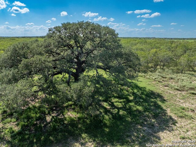 Listing photo id 1 for 444 County Road 748