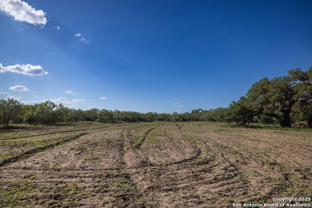 Listing photo id 2 for 444 County Road 748