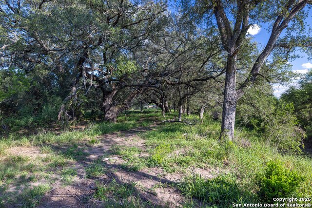 Listing photo id 5 for 444 County Road 748