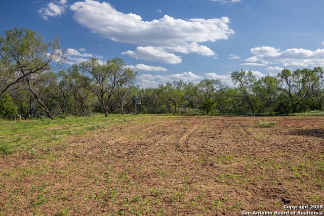 Listing photo id 6 for 444 County Road 748