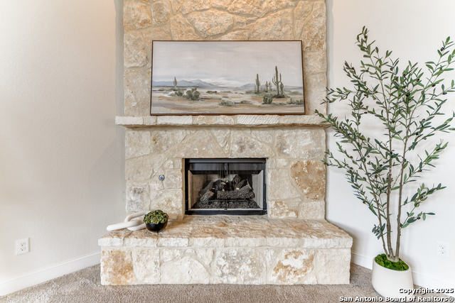 Image 4 of 30 For 233 Branson Falls