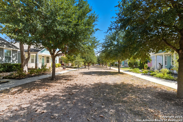 Listing photo id 3 for 327 Rachel St