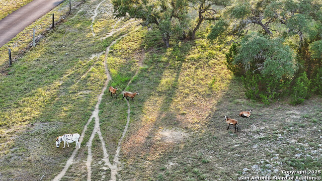 Listing photo id 67 for 24209 Scenic Loop