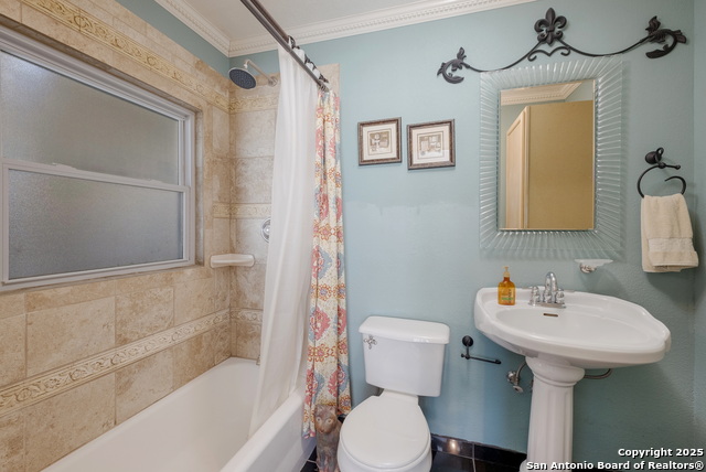 Image 14 of 19 For 214 Schmeltzer