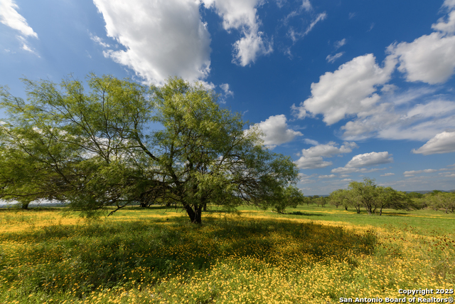 Image 12 of 20 For 000 Cypress Flats