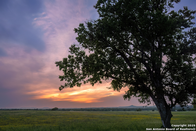 Image 14 of 20 For 000 Cypress Flats