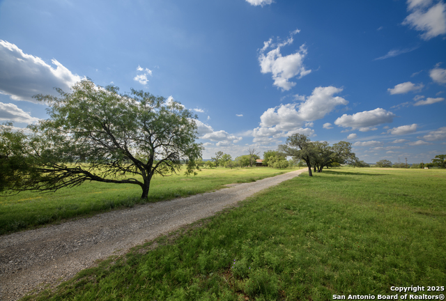 Image 15 of 20 For 000 Cypress Flats