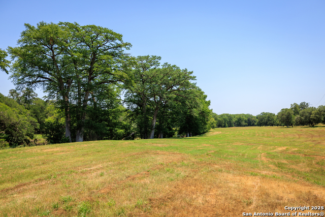 Image 18 of 20 For 000 Cypress Flats