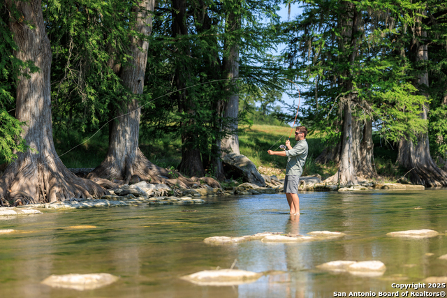 Image 2 of 20 For 000 Cypress Flats
