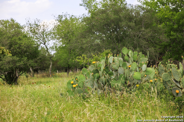 Image 4 of 20 For 000 Cypress Flats