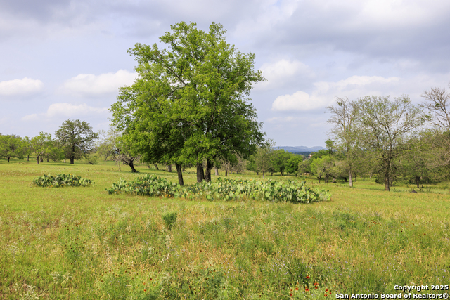 Image 5 of 20 For 000 Cypress Flats