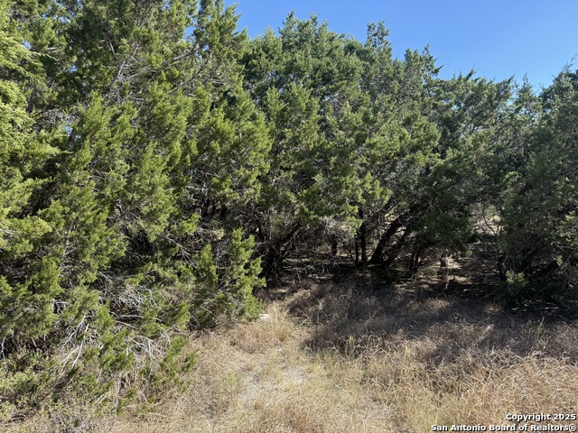 Image 4 of 5 For 1503 Lake