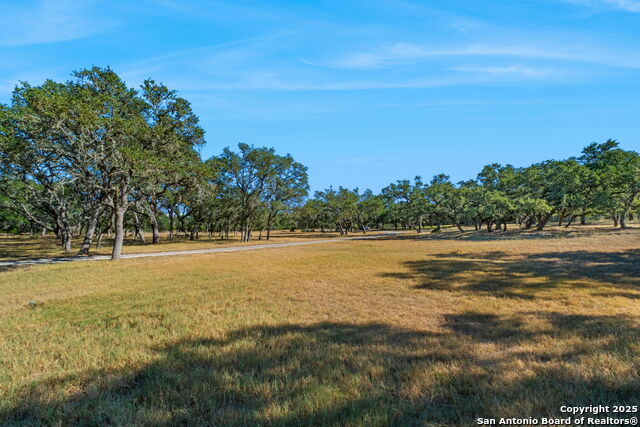 Listing photo id 2 for 4708 Ammann W