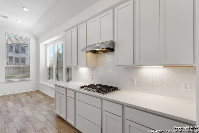 Listing photo id 6 for 1523 Balcones Fault