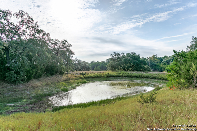 Image 2 of 32 For 2790 Willow  