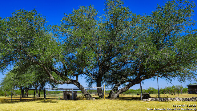 Listing photo id 32 for 6505 Fm 541